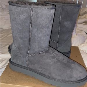 Gray short uggs
